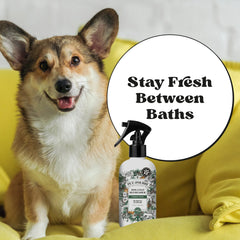 Dog Coat Refresher - Pet~Pourri