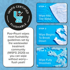 Unscented Flushable Wipes - Poo~Pourri