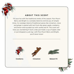 Berry and Bright Bow n' Go - Poo~Pourri Toilet Spray